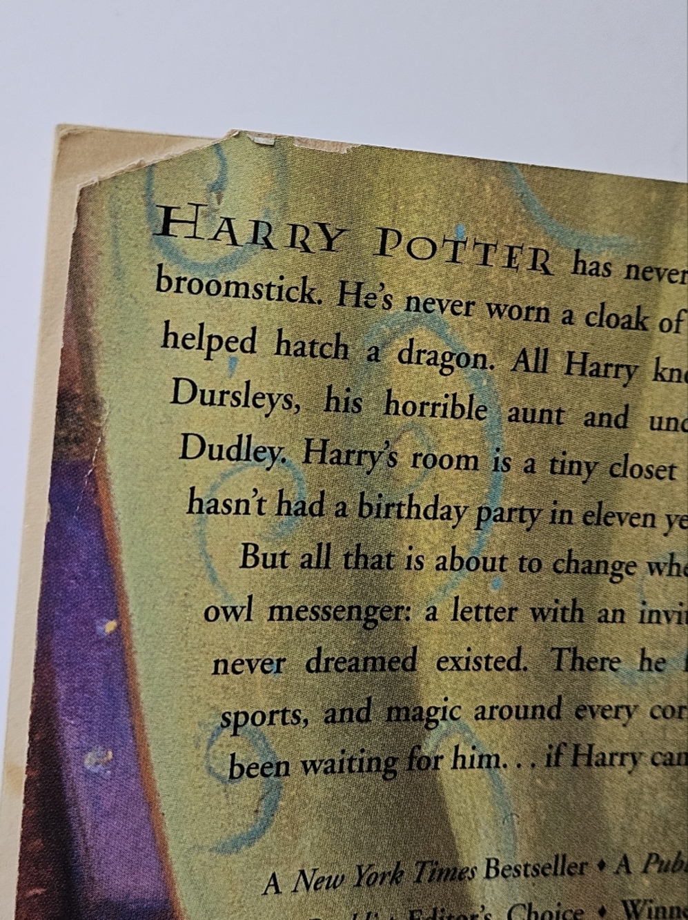 Harry Potter and the Sorcerer's Stone JK Rowling 1999 first edition Scholastic - Picture 4 of 16